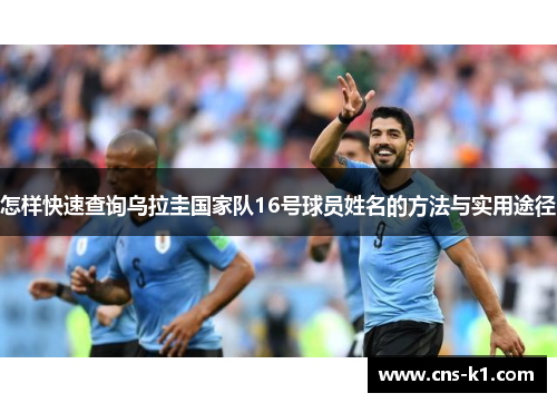 怎样快速查询乌拉圭国家队16号球员姓名的方法与实用途径