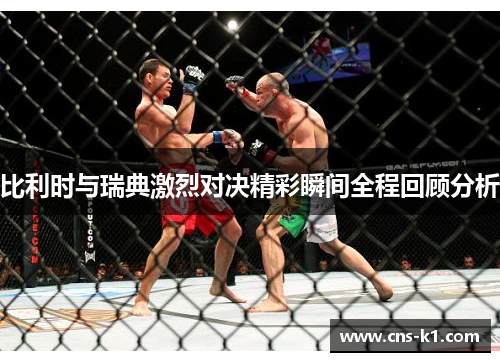 比利时与瑞典激烈对决精彩瞬间全程回顾分析