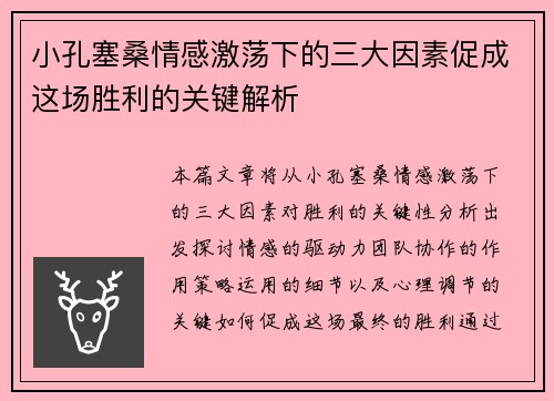 小孔塞桑情感激荡下的三大因素促成这场胜利的关键解析