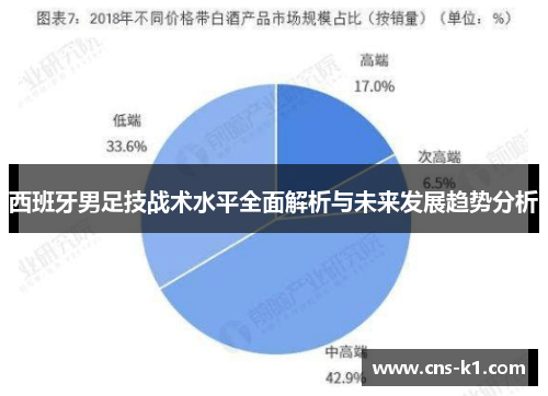 西班牙男足技战术水平全面解析与未来发展趋势分析