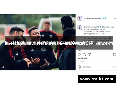 揭开林加德调侃事件背后的真相还原被误解的笑谈与真实心声