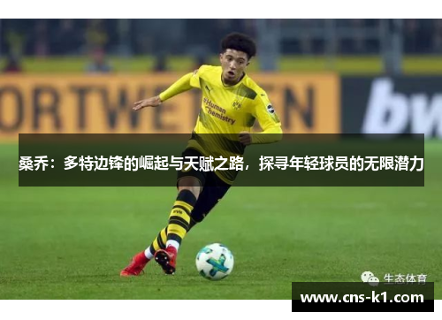 桑乔：多特边锋的崛起与天赋之路，探寻年轻球员的无限潜力