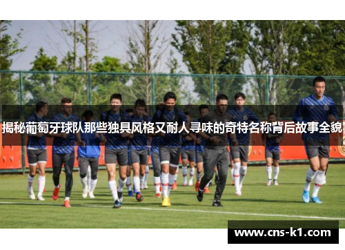 揭秘葡萄牙球队那些独具风格又耐人寻味的奇特名称背后故事全貌