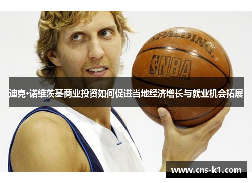 迪克·诺维茨基商业投资如何促进当地经济增长与就业机会拓展