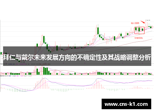 拜仁与戴尔未来发展方向的不确定性及其战略调整分析 拜仁与戴尔未来发展方向的不确定性及其战略调整分析