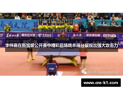 李梓嘉在新加坡公开赛中精彩后场跳杀得分展现出强大攻击力