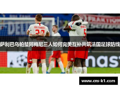 萨利巴乌帕楚阿梅尼三人如何完美互补共筑法国足球防线