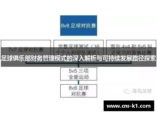 足球俱乐部财务管理模式的深入解析与可持续发展路径探索